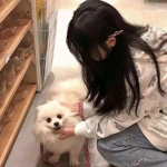 西游妖魔录手游下载